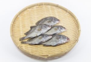 スシローは【魚買取り】サービスをしている？買い取りの価格相場など解説！